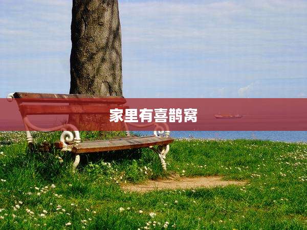 家里有喜鹊窝