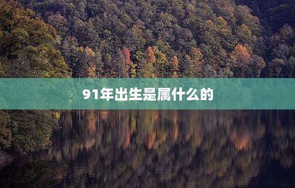 91年出生是属什么的