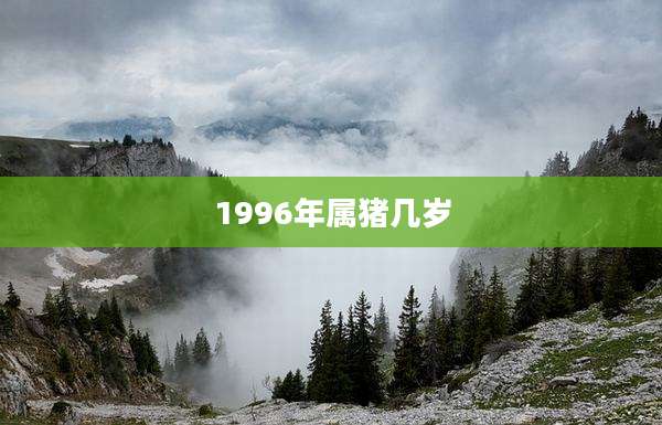 1996年属猪几岁
