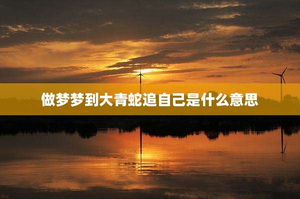 做梦梦到大青蛇追自己是什么意思