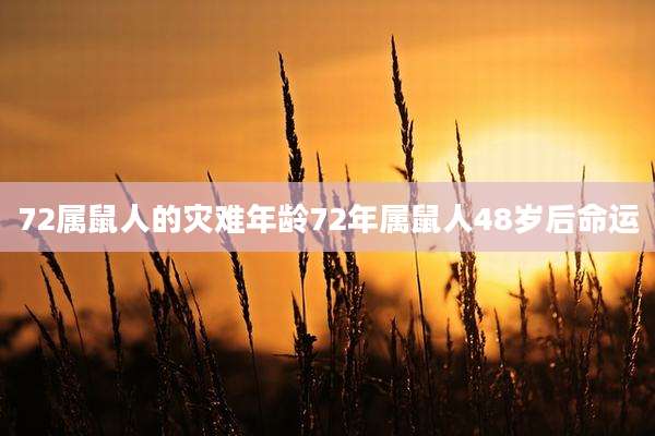 72属鼠人的灾难年龄72年属鼠人48岁后命运