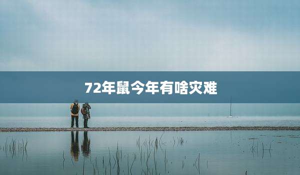 72年鼠今年有啥灾难