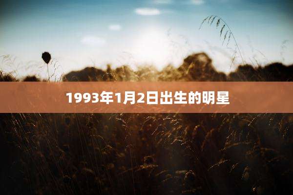 1993年1月2日出生的明星
