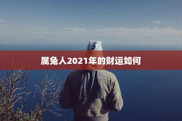 属兔人2021年的财运如何