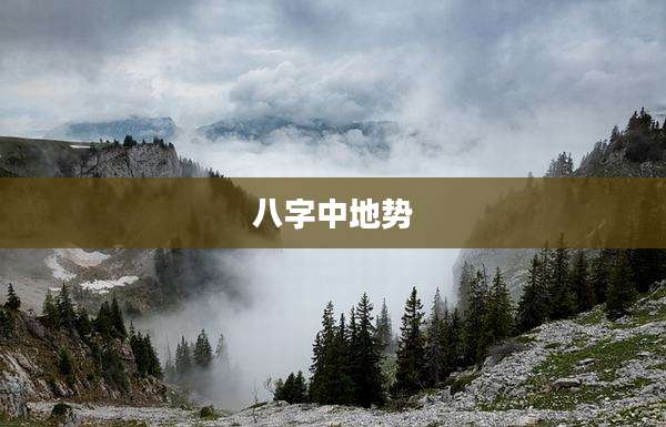 八字中地势
