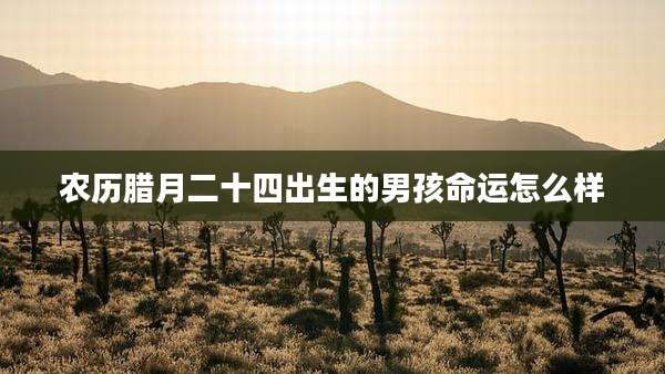 农历腊月二十四出生的男孩命运怎么样
