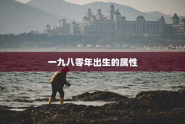 一九八零年出生的属性