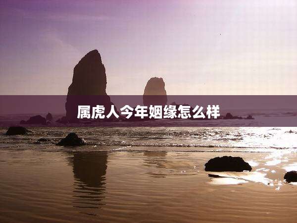 属虎人今年姻缘怎么样