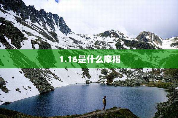 1.16是什么摩羯