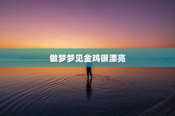 做梦梦见金鸡很漂亮