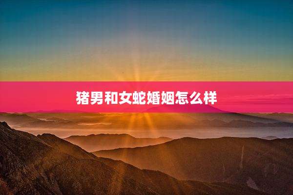 猪男和女蛇婚姻怎么样