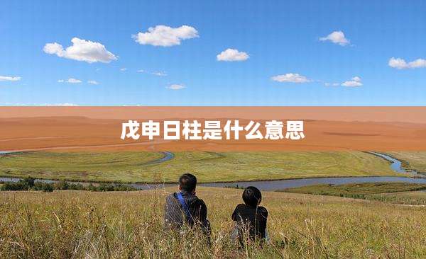 戊申日柱是什么意思