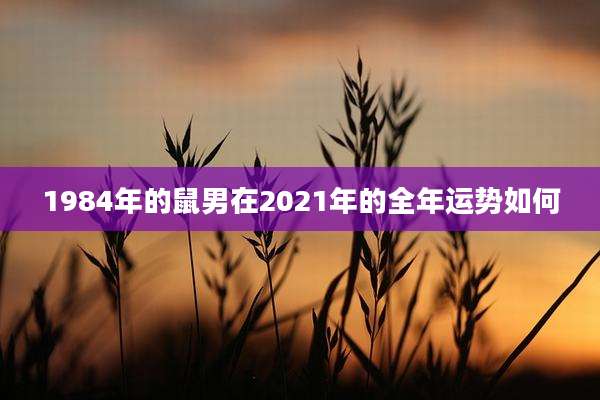 1984年的鼠男在2021年的全年运势如何