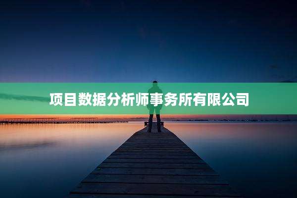 项目数据分析师事务所有限公司