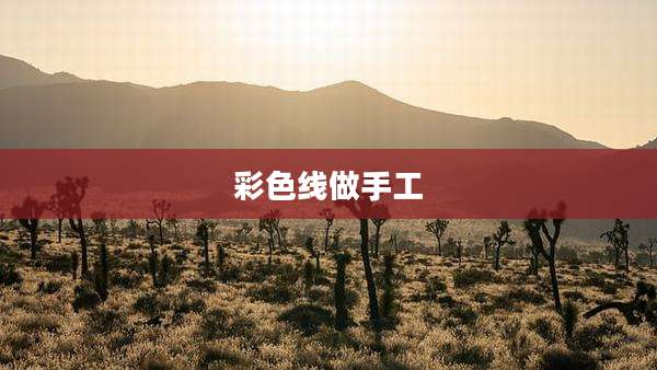 彩色线做手工