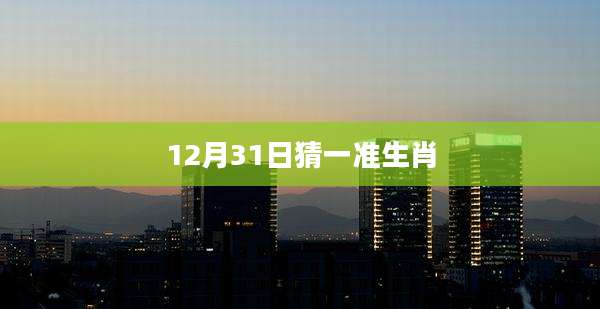 12月31日猜一准生肖