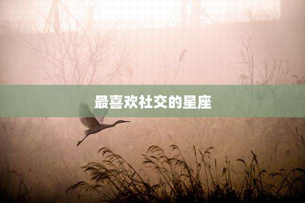 最喜欢社交的星座
