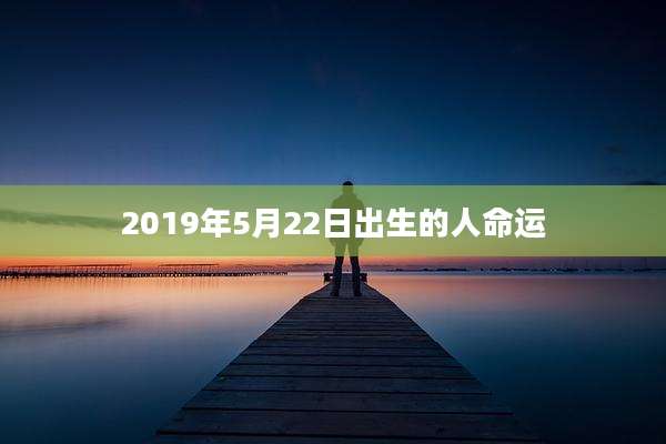 2019年5月22日出生的人命运