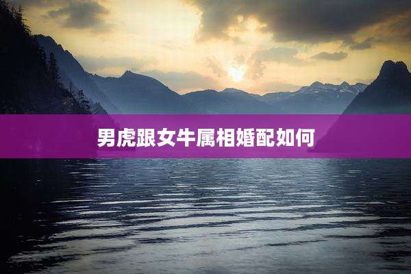 男虎跟女牛属相婚配如何
