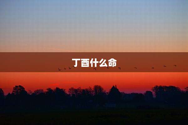 丁酉什么命