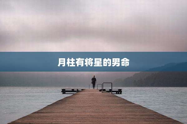 月柱有将星的男命
