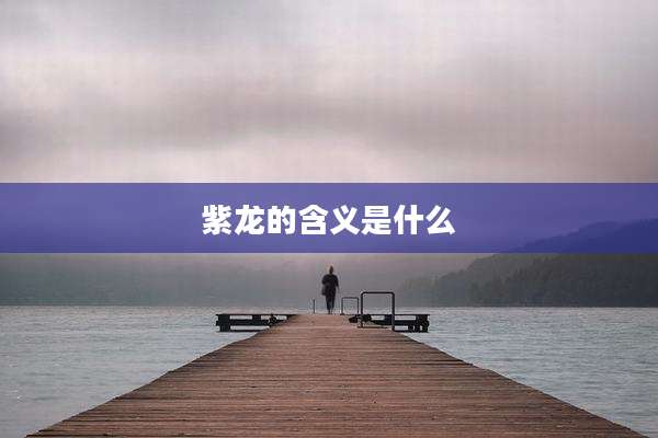 紫龙的含义是什么