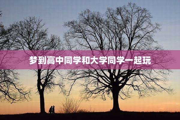 梦到高中同学和大学同学一起玩