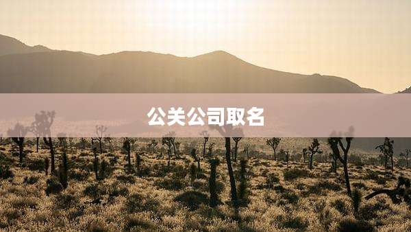 公关公司取名