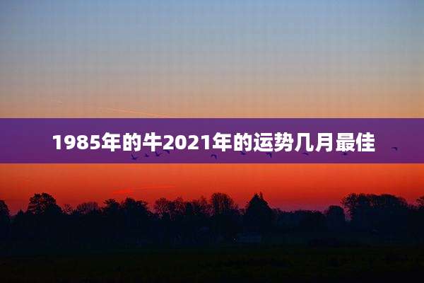 1985年的牛2021年的运势几月最佳