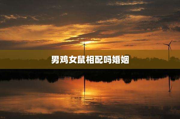 男鸡女鼠相配吗婚姻