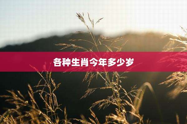 各种生肖今年多少岁