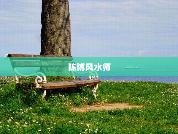 陈博风水师