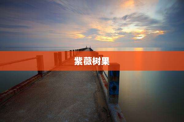 紫薇树果