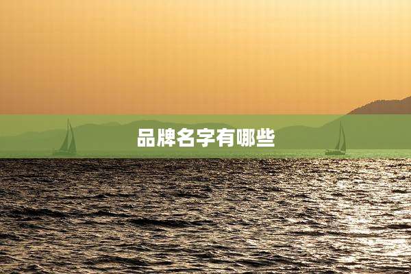 品牌名字有哪些