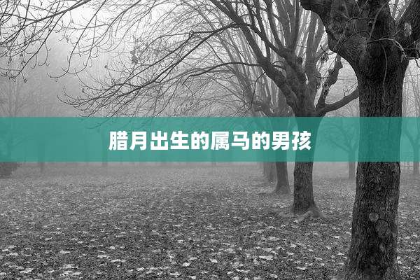 腊月出生的属马的男孩