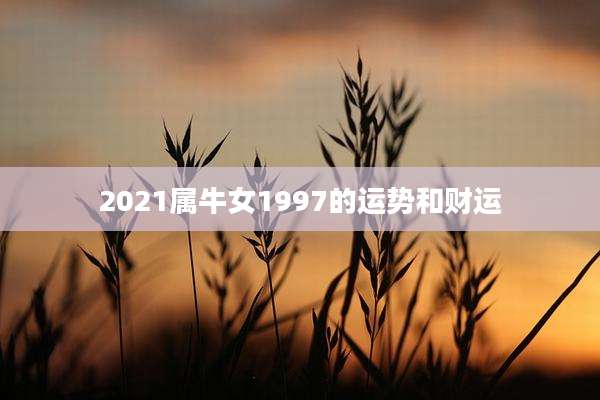 2021属牛女1997的运势和财运