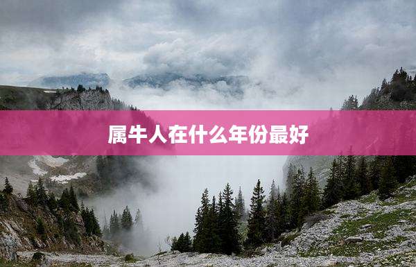 属牛人在什么年份最好
