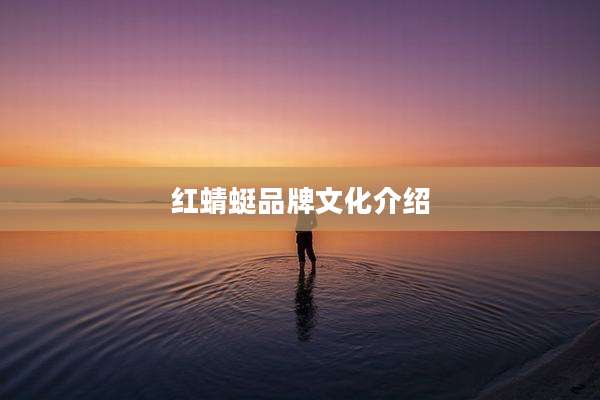 红蜻蜓品牌文化介绍