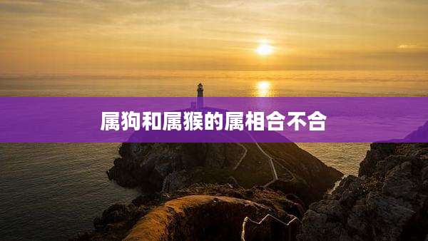 属狗和属猴的属相合不合