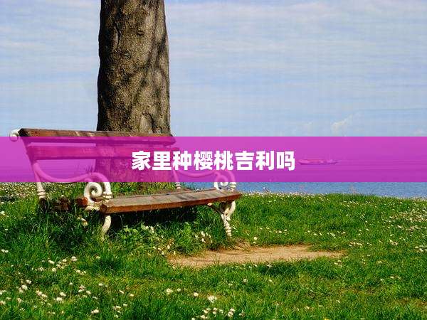 家里种樱桃吉利吗