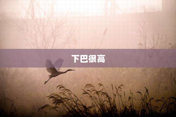 下巴很高