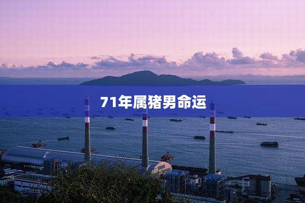 71年属猪男命运