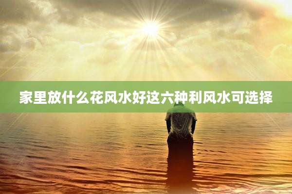 家里放什么花风水好这六种利风水可选择