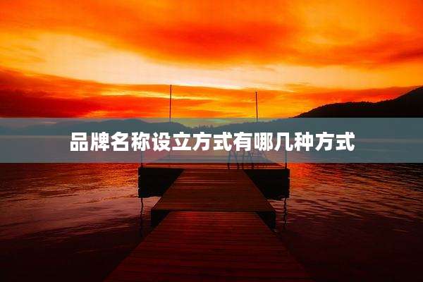 品牌名称设立方式有哪几种方式