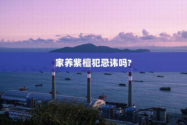 家养紫檀犯忌讳吗?