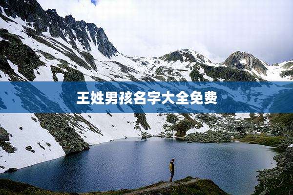 王姓男孩名字大全免费