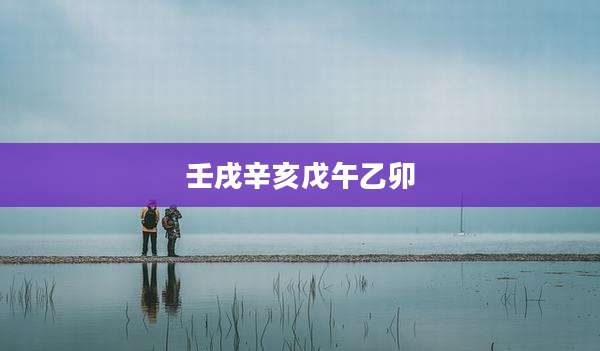 壬戌辛亥戊午乙卯