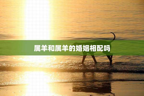 属羊和属羊的婚姻相配吗
