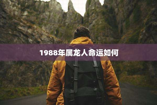 1988年属龙人命运如何