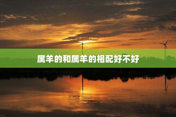 属羊的和属羊的相配好不好